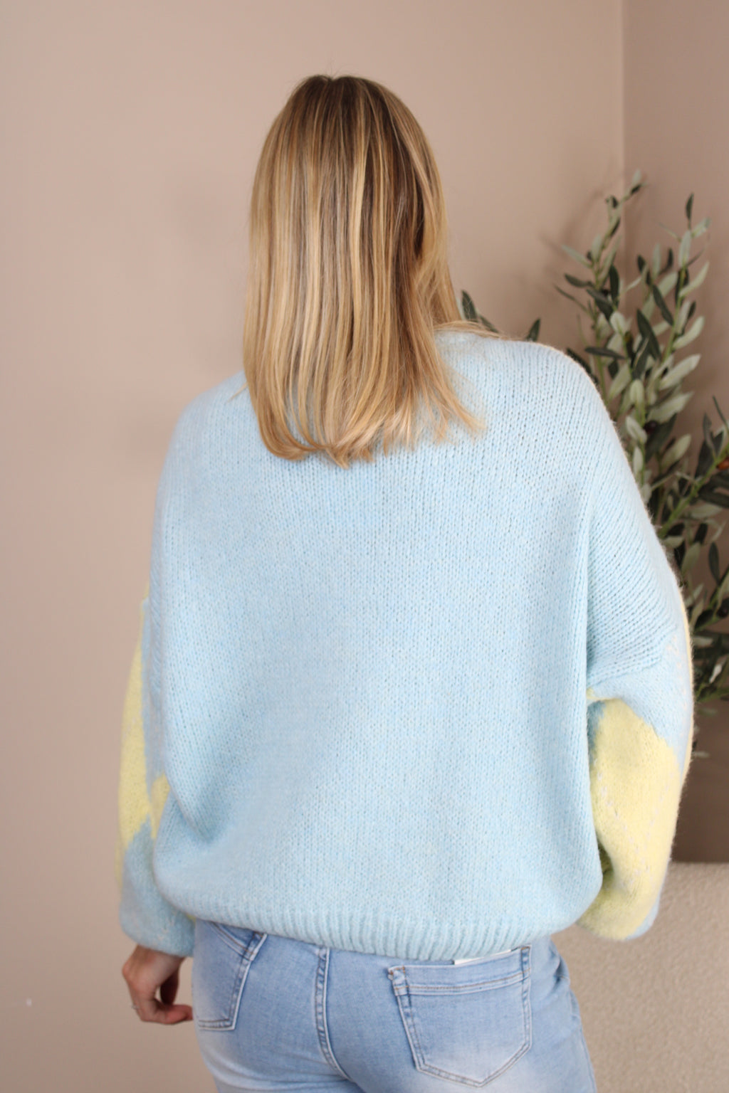 Princeton Harlequin Jumper