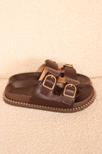 Porto Mules